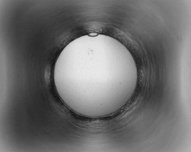 X0000093530600200711091759