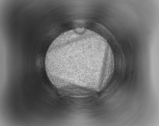 X0000093530602200711091759