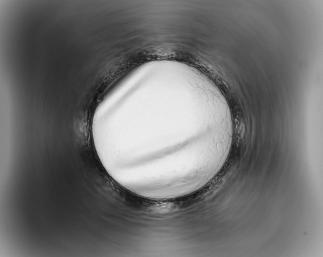 X0000093530609200711091759