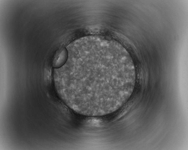 X0000093530610200711091759