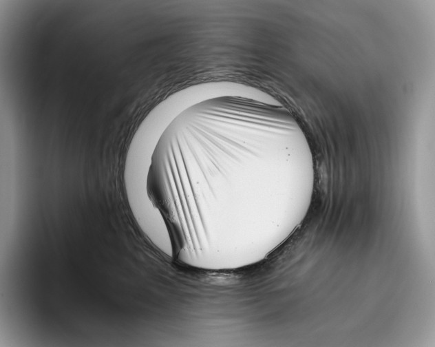 X0000093530617200711091759