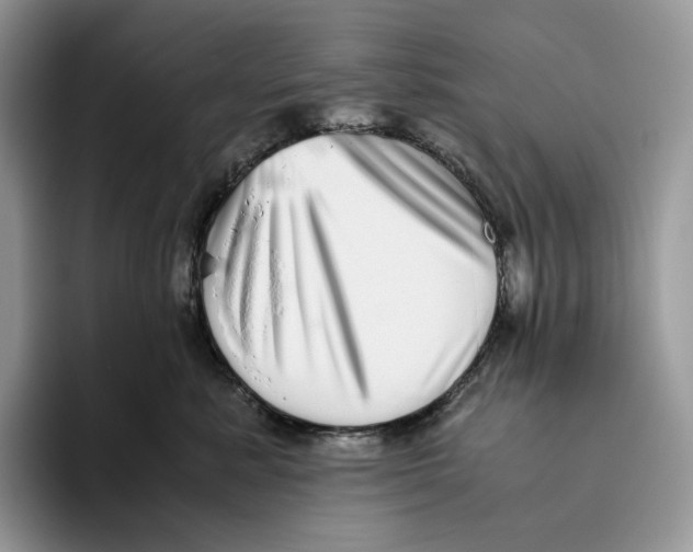 X0000093530619200711091759