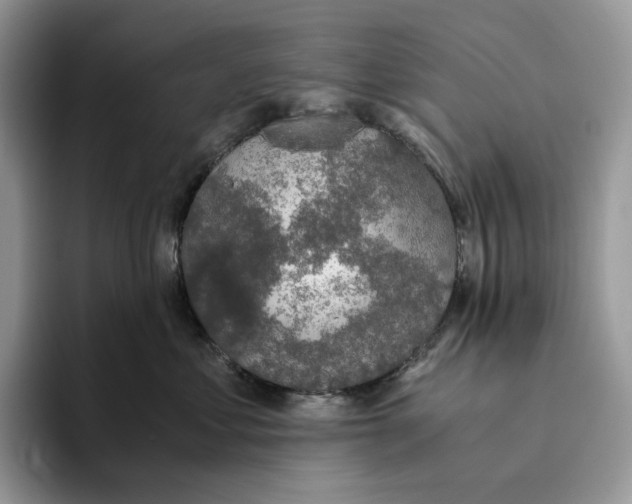 X0000093530621200711091759