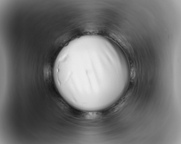 X0000093530623200711091759