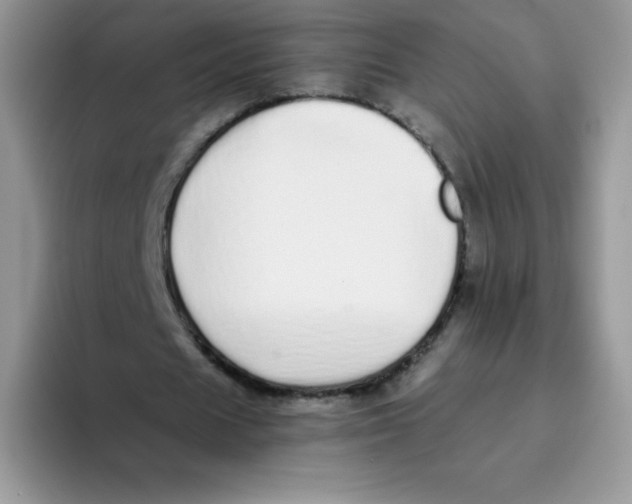 X0000093530625200711091758