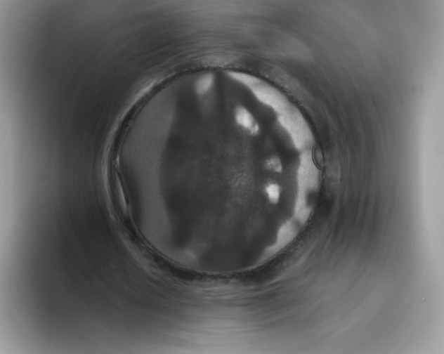 X0000093530626200711091758
