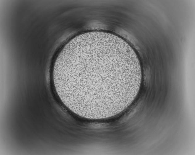 X0000093530629200711091758