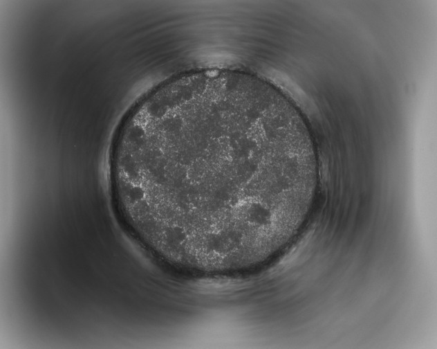 X0000093530630200711091758