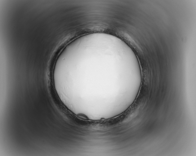 X0000093530634200711091758