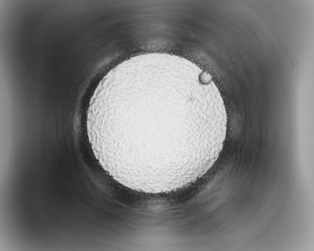 X0000093530636200711091758