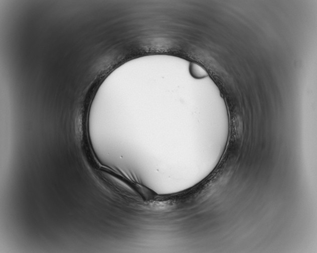 X0000093530638200711091758