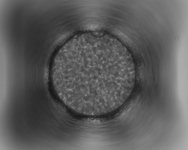 X0000093530640200711091758