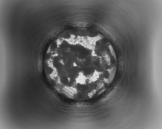 X0000093530641200711091758