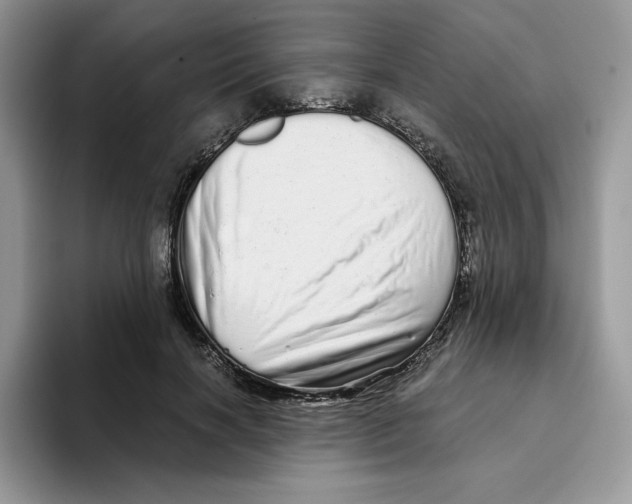 X0000093530646200711091758