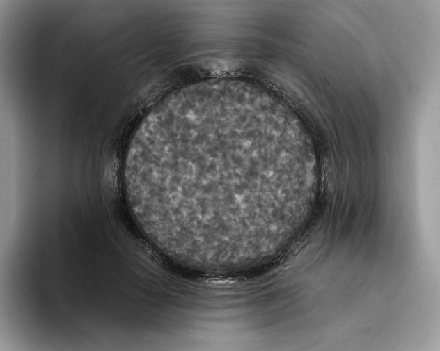 X0000093530650200711091758