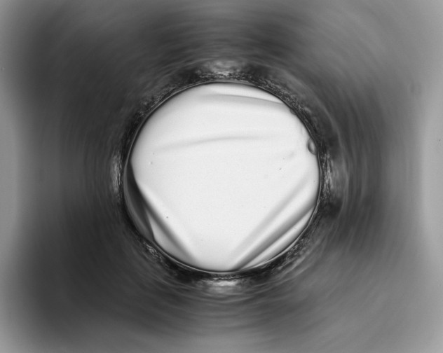 X0000093530651200711091758