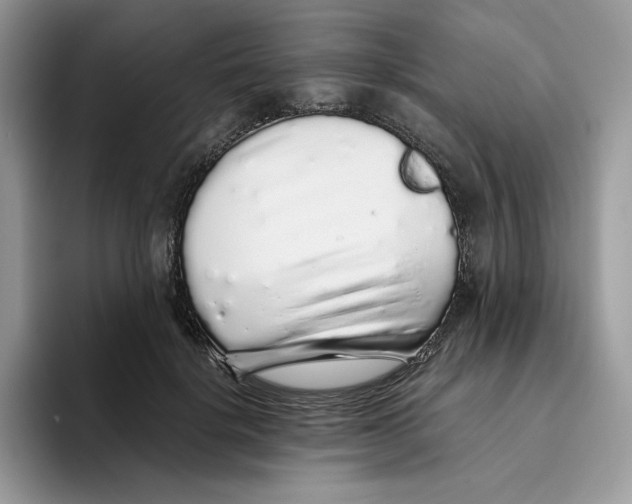 X0000093530652200711091758