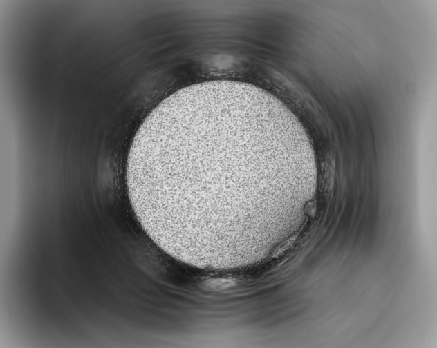 X0000093530653200711091758