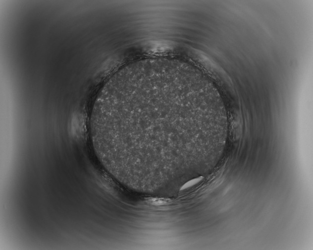 X0000093530654200711091758
