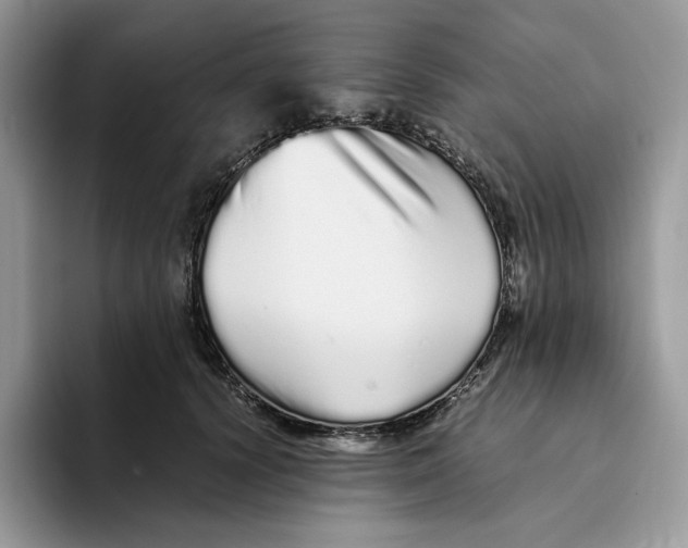 X0000093530656200711091758