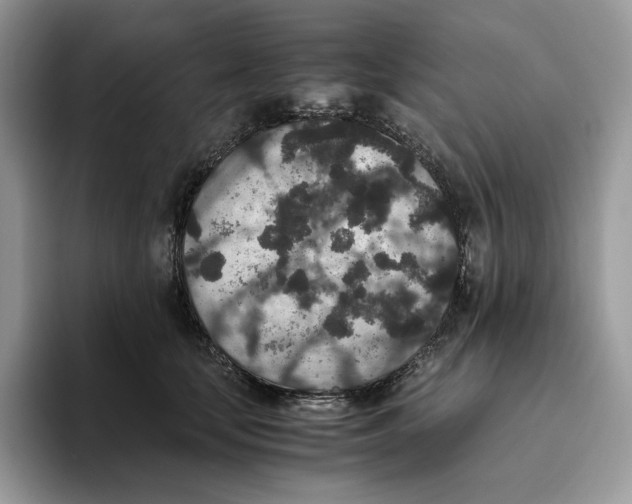 X0000093530659200711091759