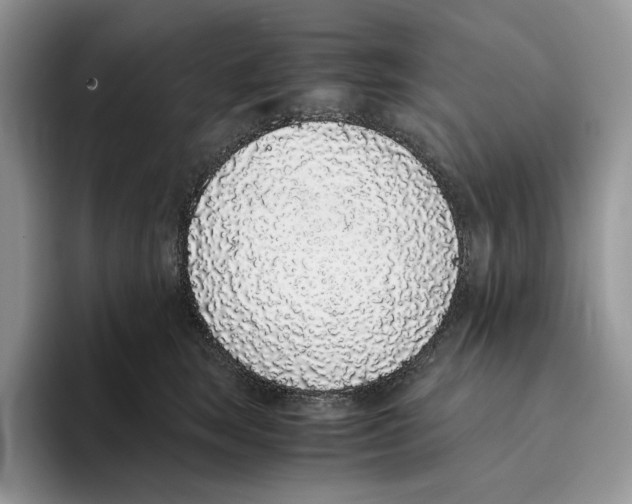 X0000093530663200711091759