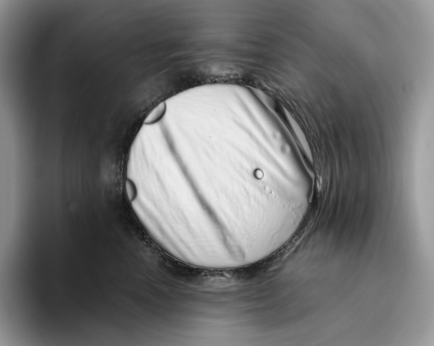X0000093530666200711091759