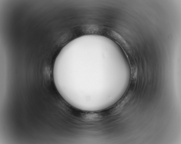 X0000093530669200711091759