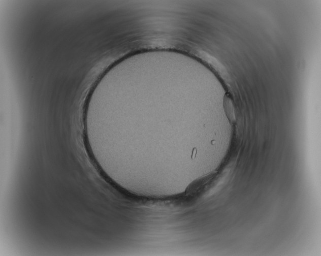 X0000093530673200711091758