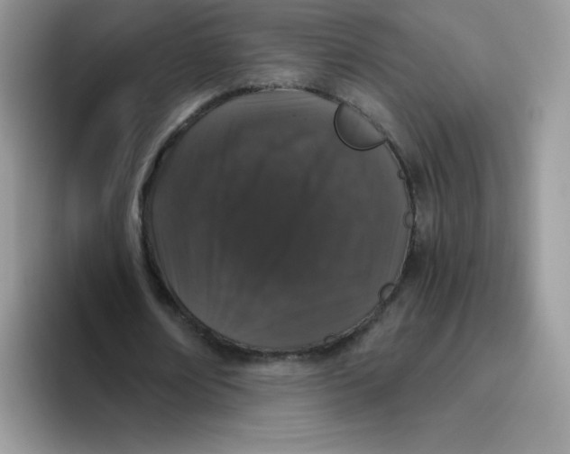 X0000093530674200711091758