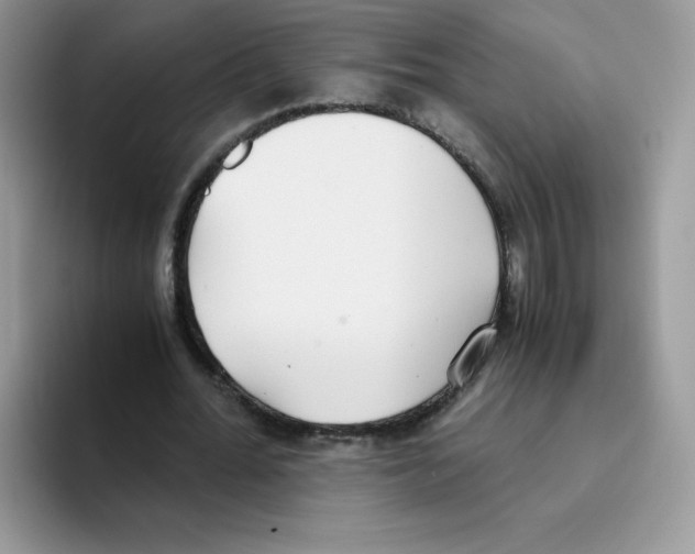 X0000093530676200711091758