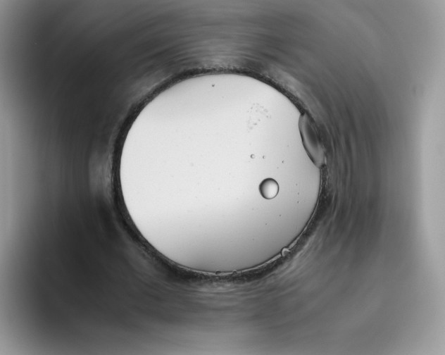 X0000093530677200711091758