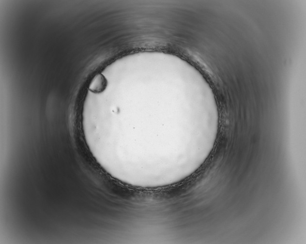 X0000093530679200711091758