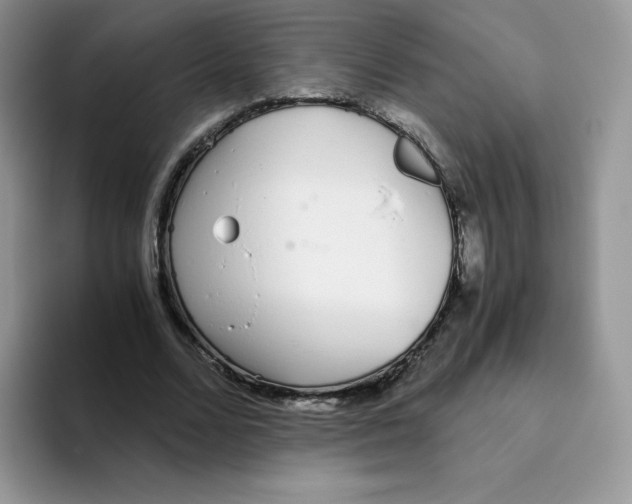 X0000093530680200711091758