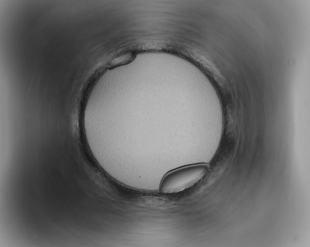 X0000093530681200711091758