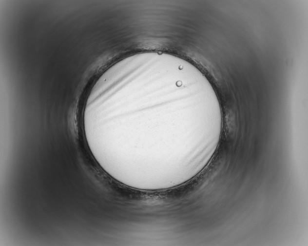X0000093530682200711091758