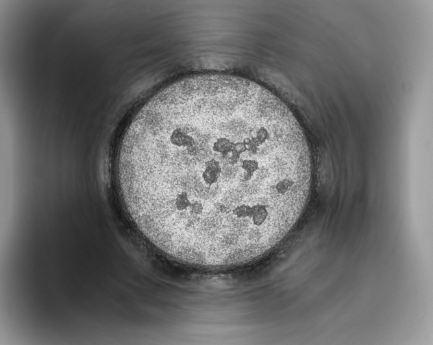 X0000093530683200711091758