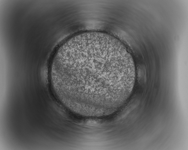 X0000093530684200711091758