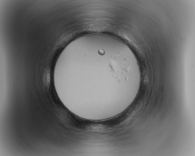 X0000093530685200711091758