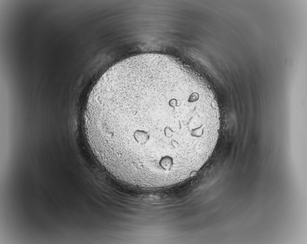 X0000093530687200711091758