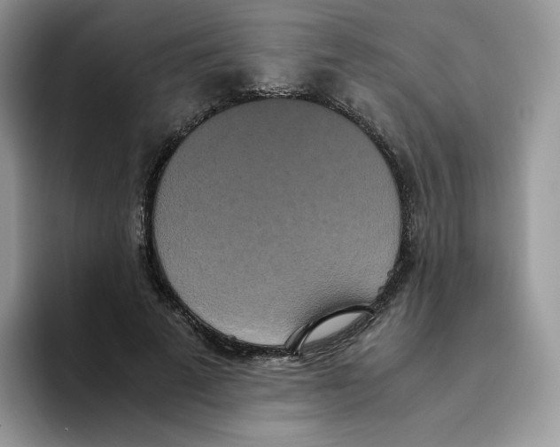 X0000093530689200711091758