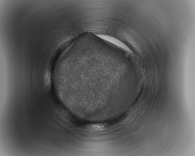 X0000093530692200711091758