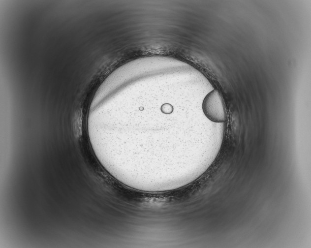 X0000093530694200711091758