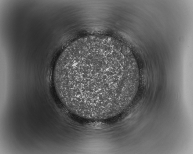 X0000093530695200711091758