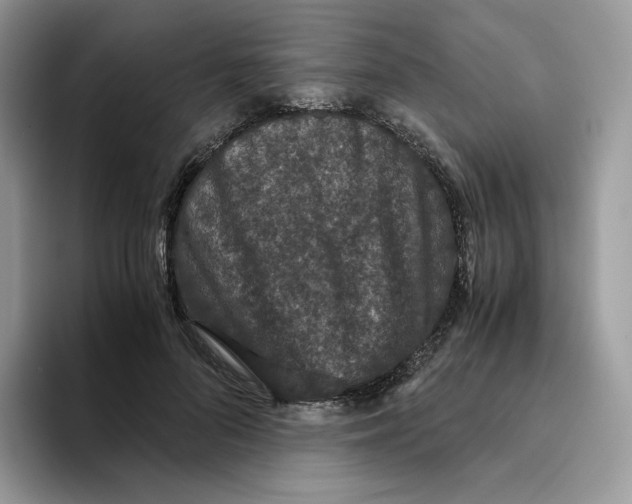X0000093530696200711091758
