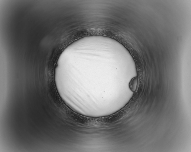 X0000093530699200711091758