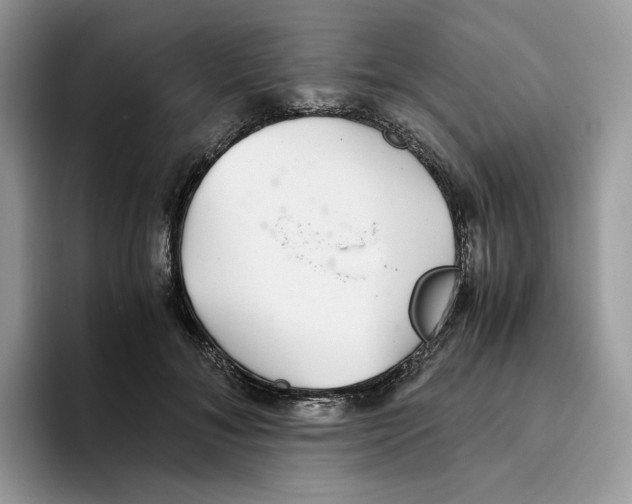X0000093530700200711091758