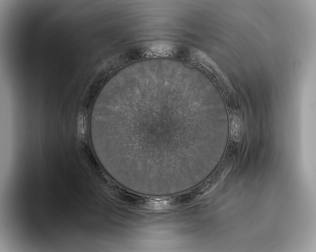X0000093530701200711091758