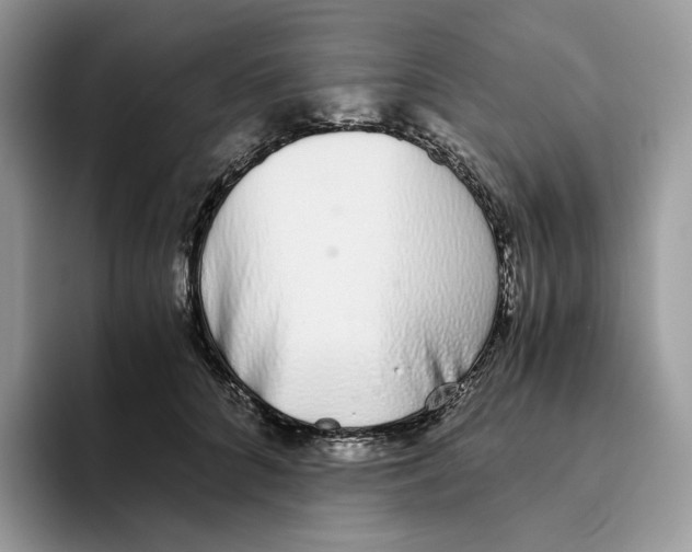 X0000093530704200711091758