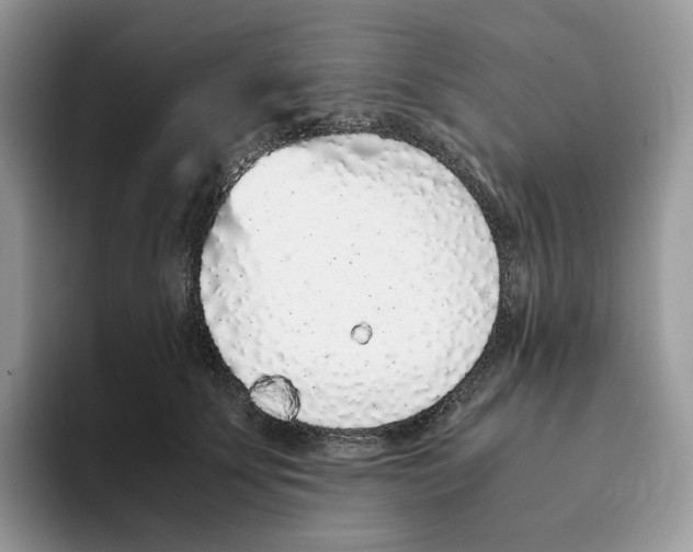 X0000093530707200711091758
